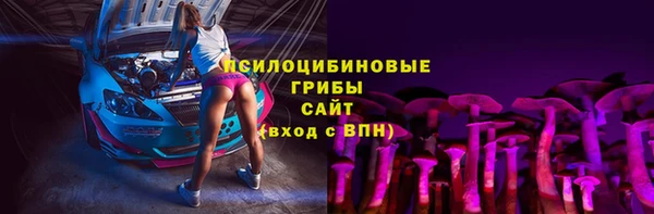 не бодяженный Медвежьегорск