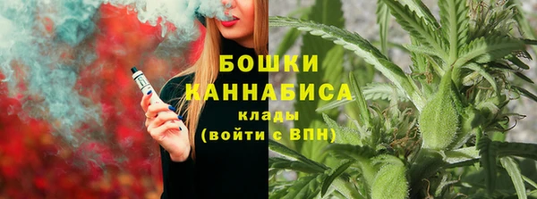 тгк Медногорск
