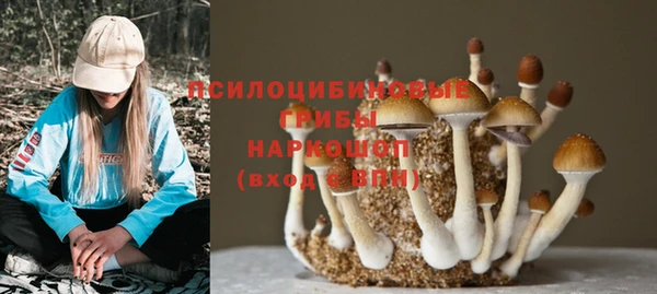 не бодяженный Медвежьегорск