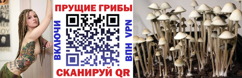 площадка Telegram наркошоп Приволжский Галлюциногенные грибы ЛСД
